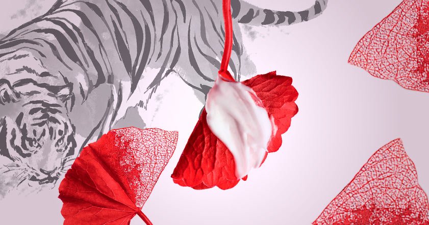 Loreal Paris BMAG How To Trending Now What Is Tiger Grass SLIDE1